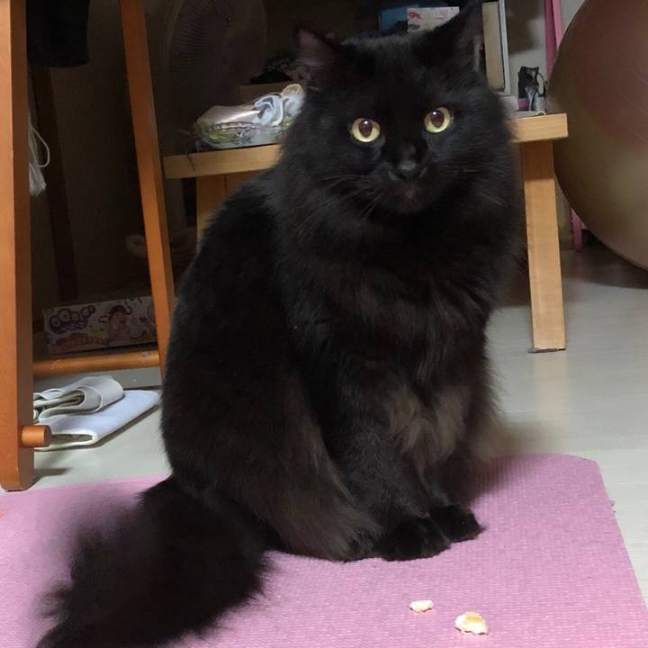 C5d13777 4a35 4bb8 b4d7 8e47266ef891 1512902802394