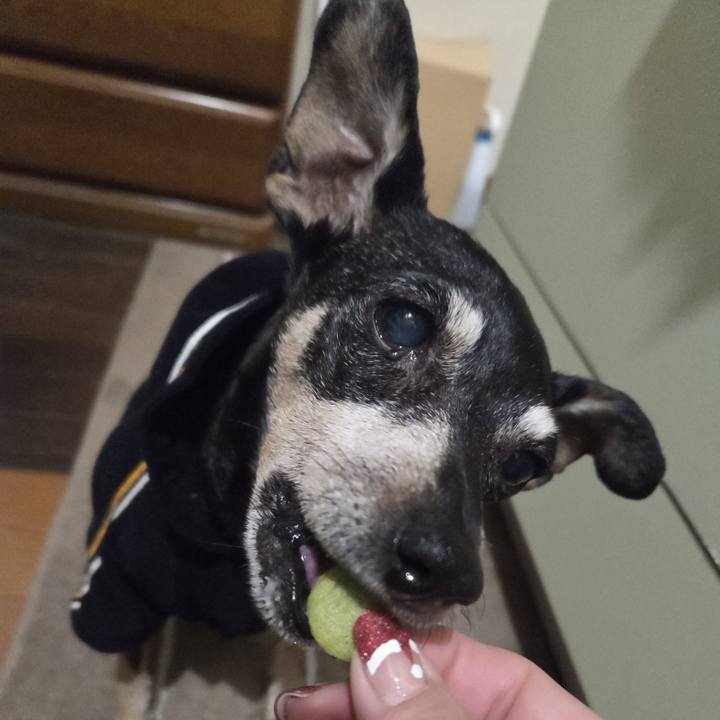 C5d14891 5a92 47fe a09e 395e31ad3af0 1765482600955