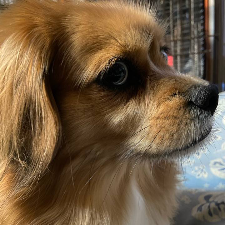 C5d15e22 4f63 4d70 8269 91cb3fa21db9 1613339194016