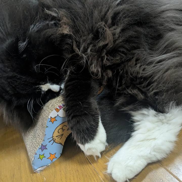 C5d162dd 1c54 4be1 a4dc f025284a1295 1759649638463