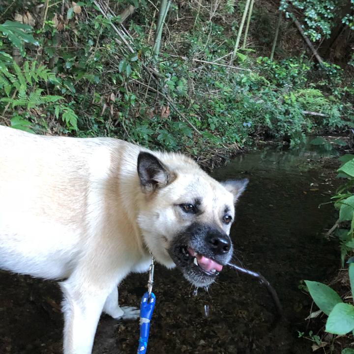 C5d18e51 7022 4067 b030 fae8a37a6d83 1532164643900