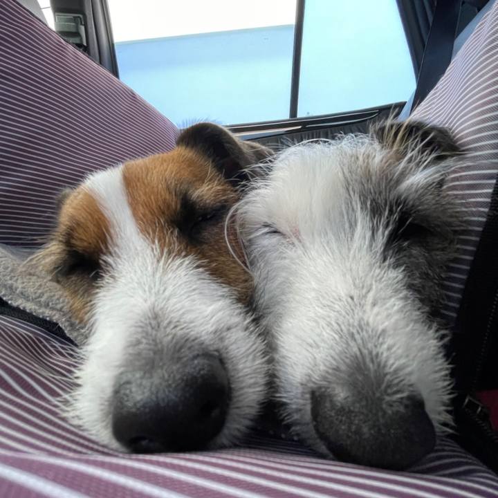 C5d1912a 37b4 471f 85fb 25e84ea2c9af 1650801831454