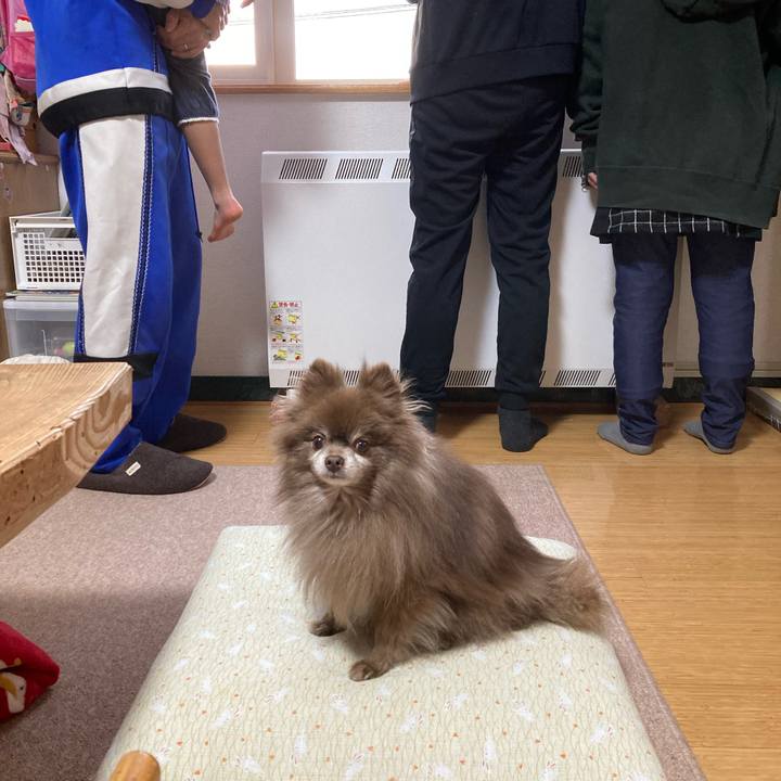 C5d1d45a b0c4 4886 a006 053221558eb4 1672553853288