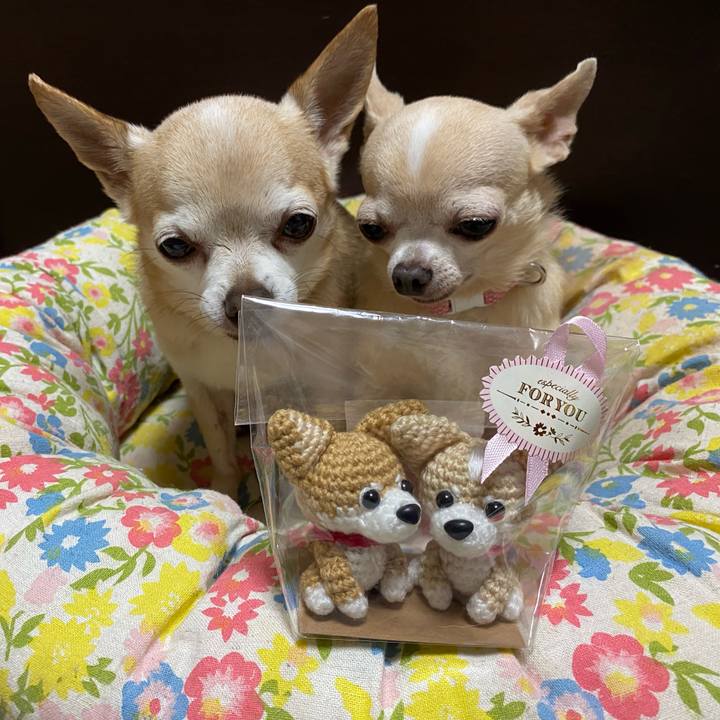 C5d2000a 13b1 4ece 808d e03c77acc00c 1597573106460