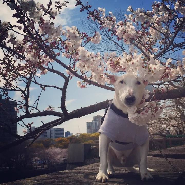 C5d21785 bedd 4145 9568 fc845f07681f 1554475105359