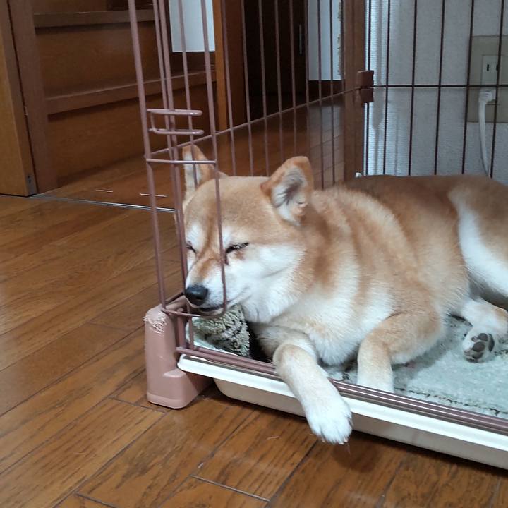 C5d2410d 2d15 4c78 af0c 0bd000afbaeb 1745818257102