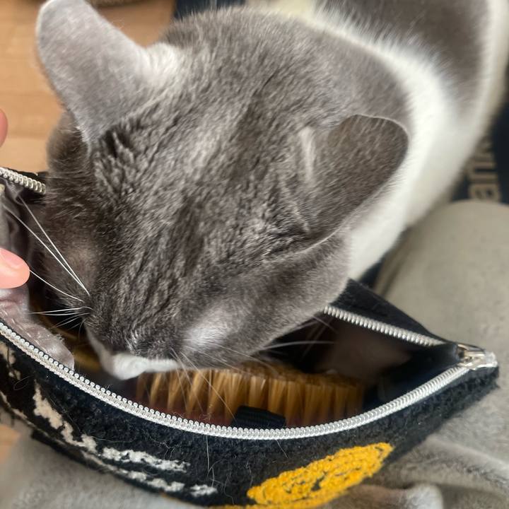 C5d24816 e17a 4ad9 a541 21de4f0a7c8b 1739066257176