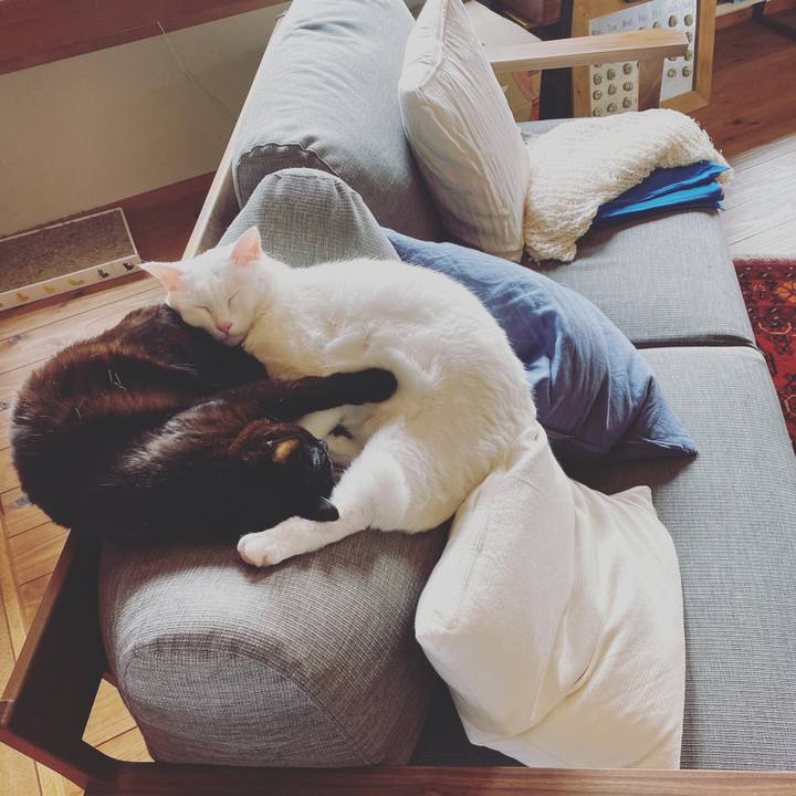 C5d252d2 5422 4fa7 a625 edc32215e904 1586321527358