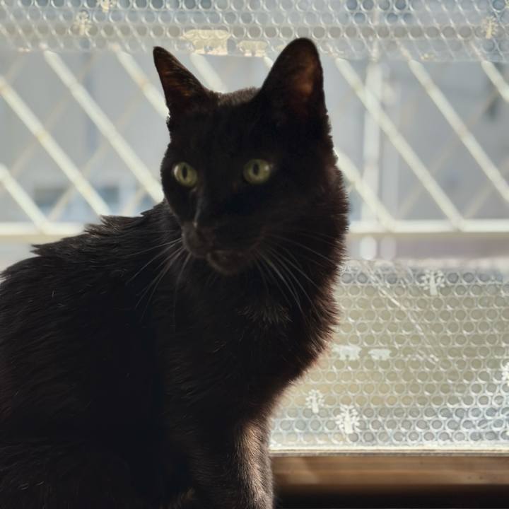 C5d26910 607e 4c44 9db2 163ff7b4a119 1712457124732