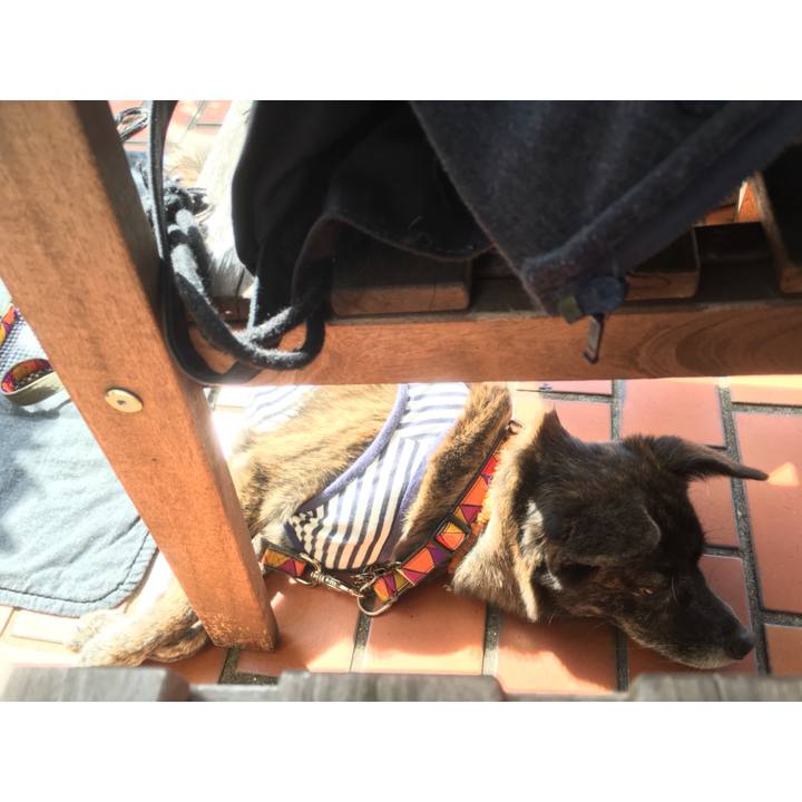 C5d26a8d 2255 4f42 9a42 c4bf5c0ba294 1539317330619