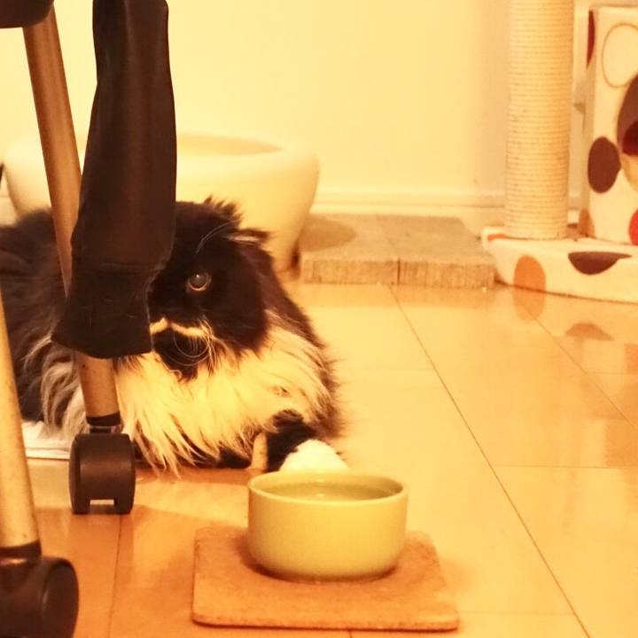 C5d2aa82 1b7c 4be0 8750 a683cf353563 1526860284897