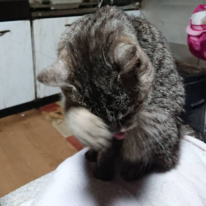 C5d2c4c2 f47b 462d ba6b 0a78f373142d 1585338568289