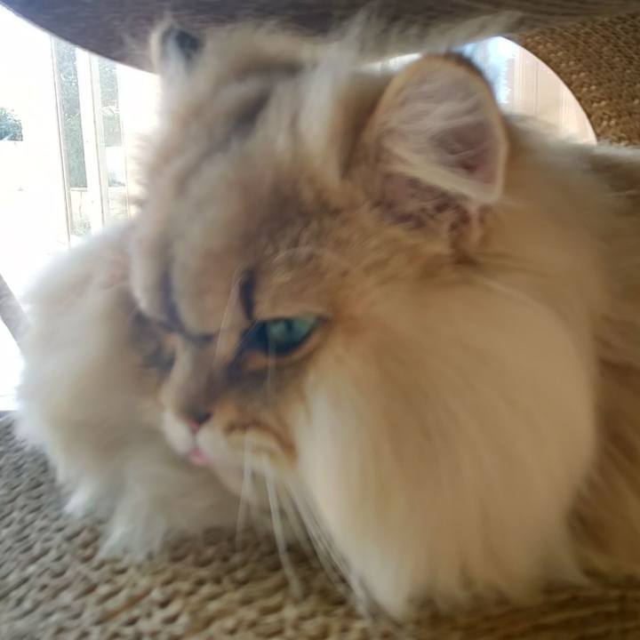 C5d35ec4 d316 4d4a 92ce 858c864c7623 1577325422135