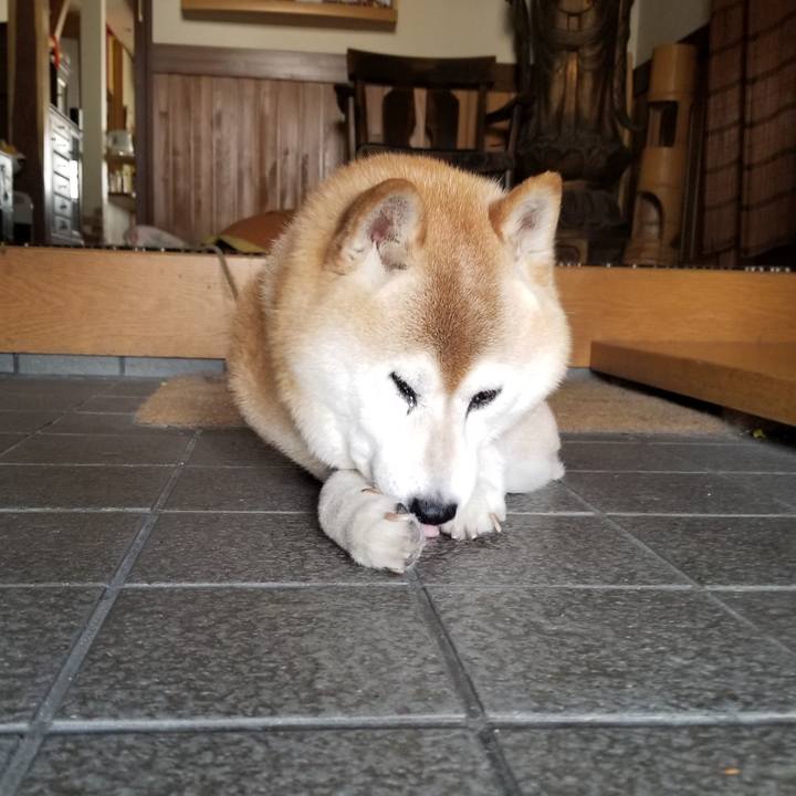 C5d363f5 cafd 4b67 bf18 a96634cbf4ce 1716422066740