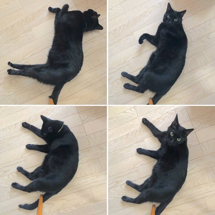 C5d368cb bd59 4d34 838e 0f817cd1dd13 1546482130125