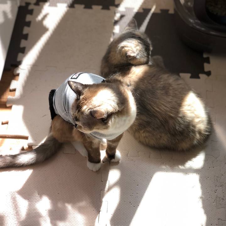 C5d38f0d d057 4d27 95d2 d26c33a108ab 1665494397657