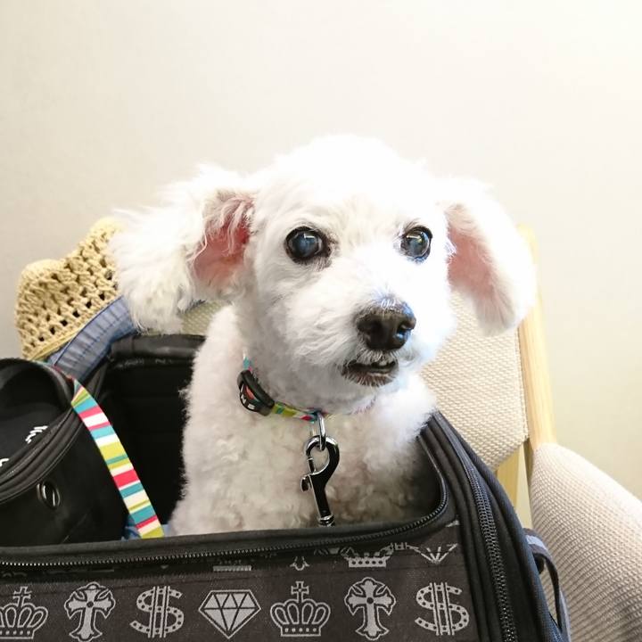 C5d3ad96 9580 40e9 bf4c ec2daafce09a 1602664857885