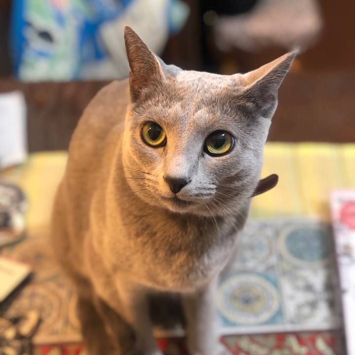 C5d3d814 bc9e 4323 82a8 de84d724ffc5 1550807539941