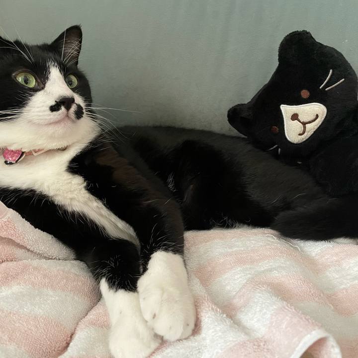 C5d3f045 049d 4471 b76f 4008d4511e8e 1654050004168