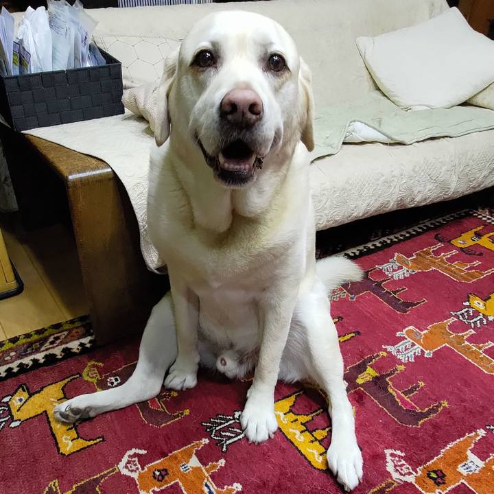 C5d3f585 ee31 4d51 b254 814eacf5b70d 1718795114861