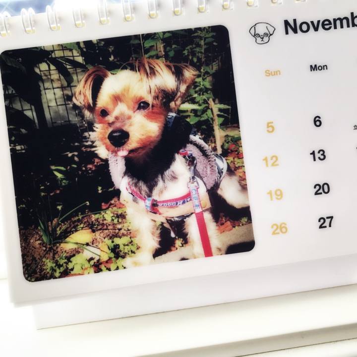 C5d40955 75d8 4b28 9024 2fe9f7aacd32 1509507653728