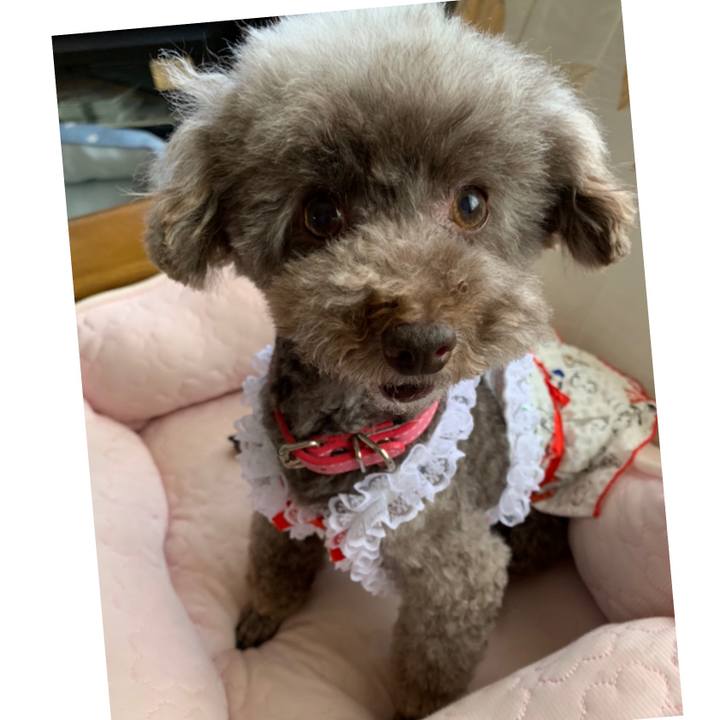 C5d46e14 3eed 4cc7 947e abc3dd4276aa 1627536742629