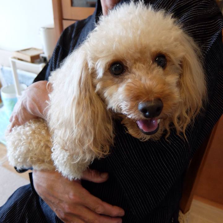 C5d4a8dc 9cf9 465f 8c62 3e6441bec864 1560657767175