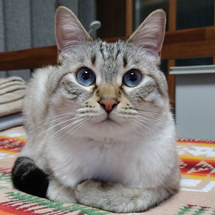 C5d4b864 a46a 45ac 8c0a e79f129ee83f 1683802944682