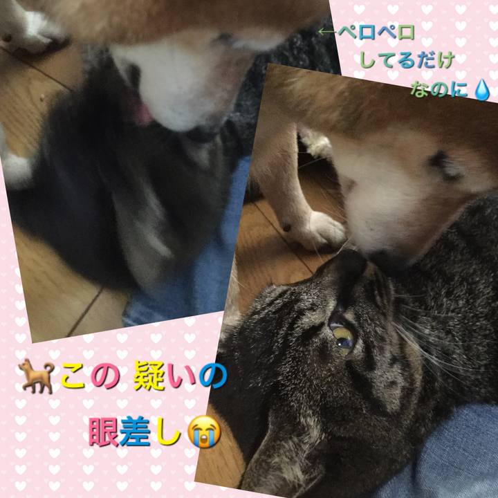 C5d4ca27 8cbb 4577 851e 04bb42651341 1595207455909