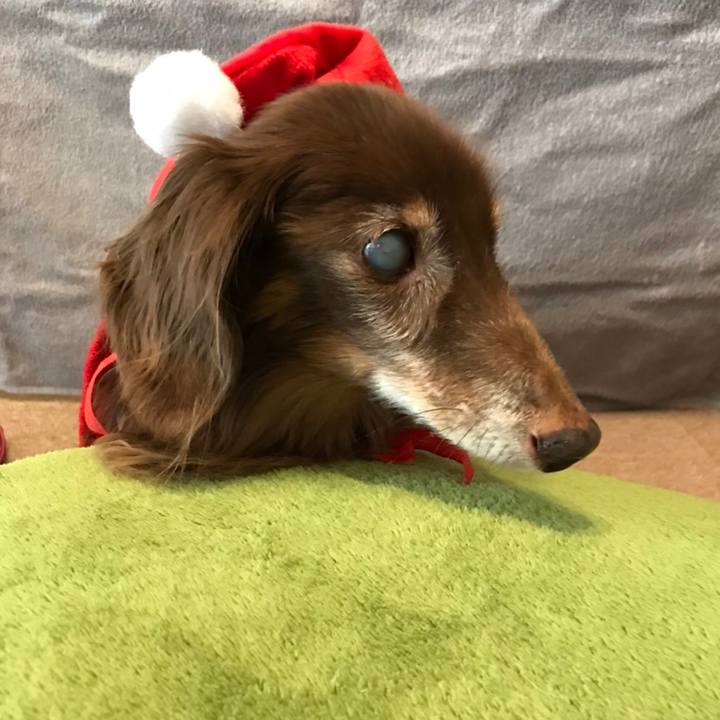 C5d4efc5 9223 4e29 9daf 68afa1be9246 1576020132845