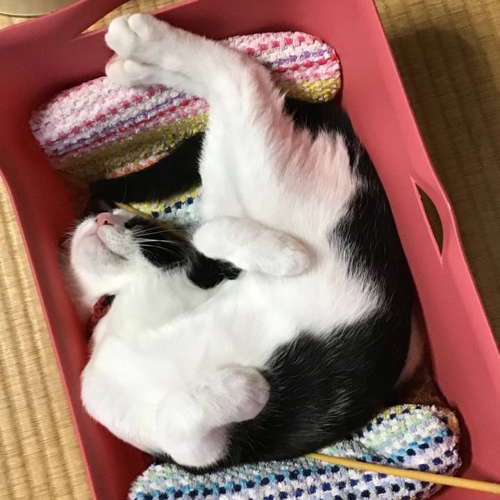 C5d4f877 90a8 4539 9e41 16dc0f64c8f3 1627975391533