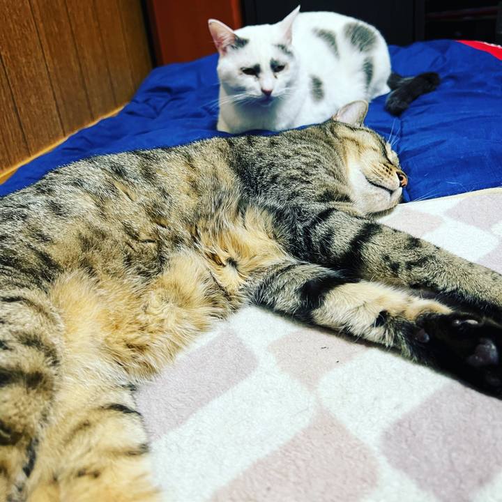 C5d50c9c a7cf 4b43 86f6 7318385c1b93 1668696432090