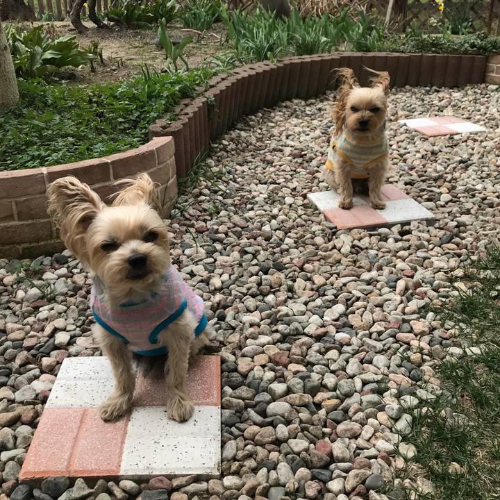 C5d50fec 5fc6 4a60 a4db 3ceea0056d90 1525054431293