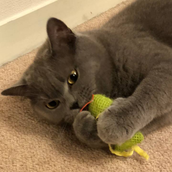 C5d53d2b ed18 4d1f bf21 e4da67ac7b3e 1528846899131