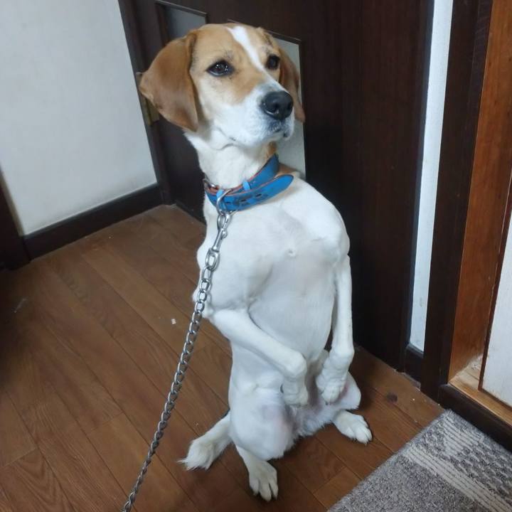 C5d5659d 1f3f 4716 8749 46fffcfadfce 1611891105940