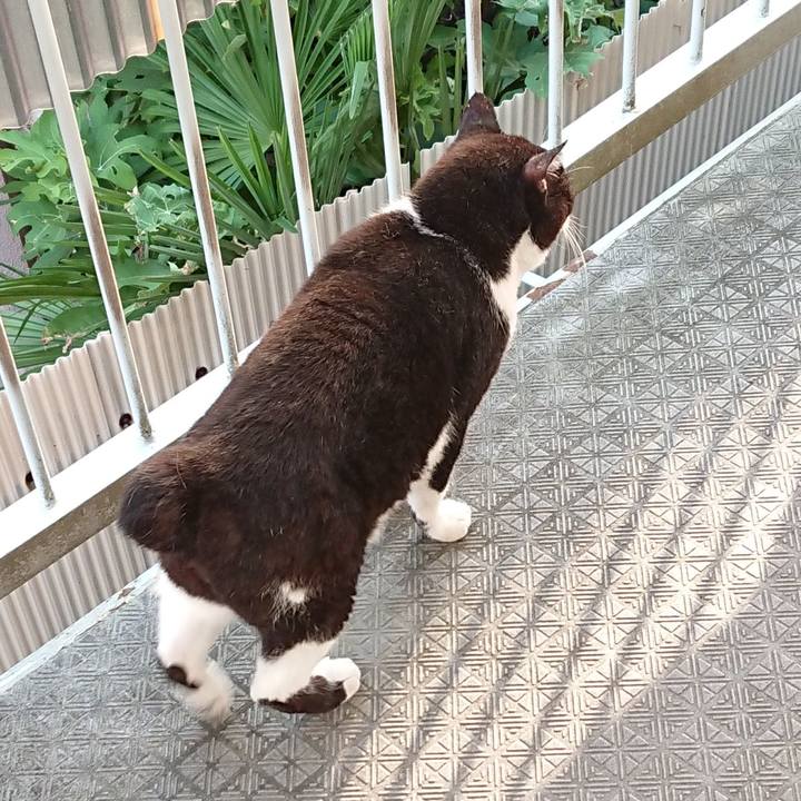 C5d5ca90 329b 445b 8553 f4fe126274d4 1659511216711