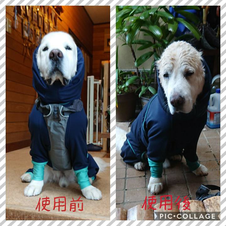 C5d5def8 7ca7 4b76 91aa 3f9af8de467b 1581834844585