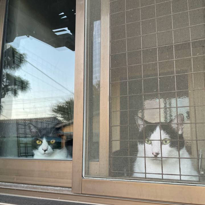 C5d6205f 6f23 45e8 ba91 45ccc36f0157 1695156161675