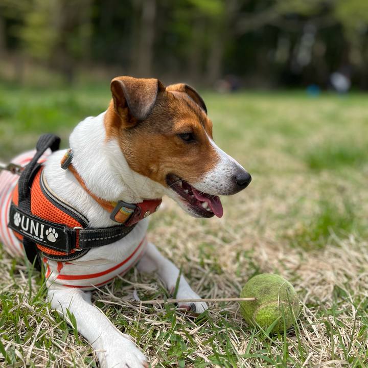 C5d631a9 fc89 425d 884b 5dac2994ae09 1712479215262