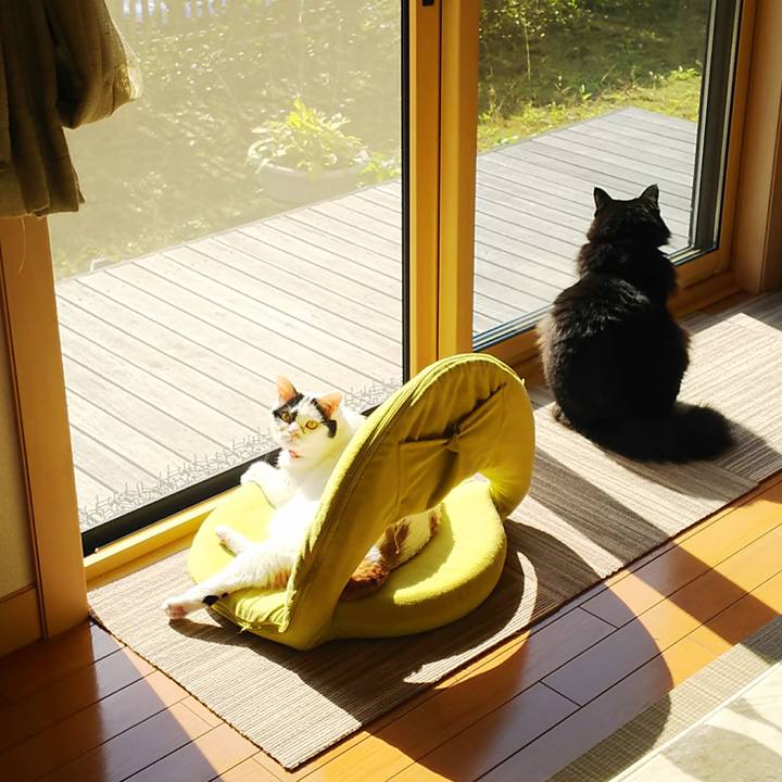 C5d64871 e7d8 4b8b aca6 116b81f7c00a 1540005821395