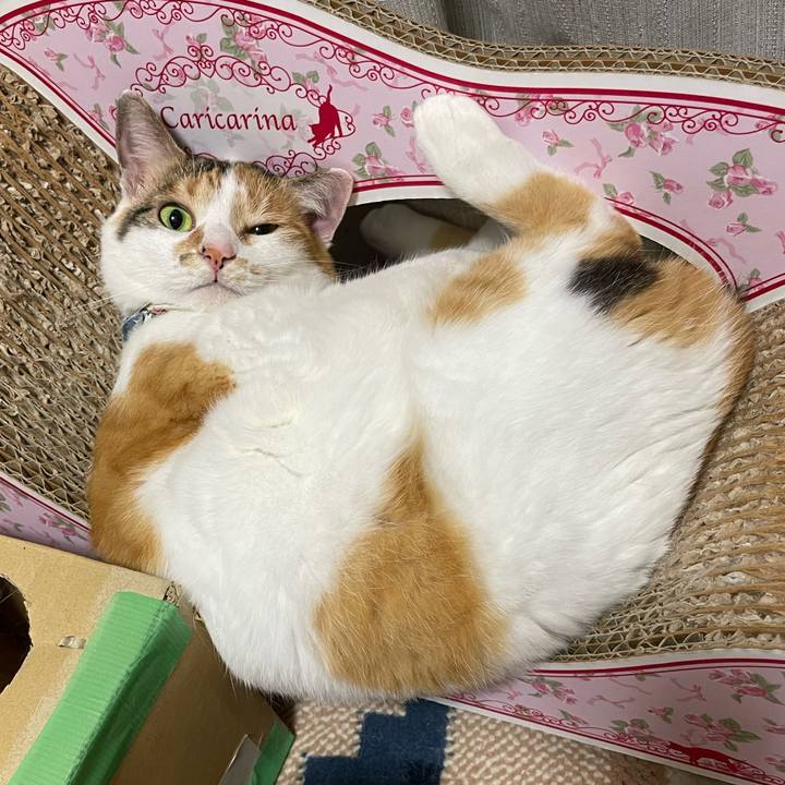 C5d666d6 2b0b 4bba baea dbdfcc2556db 1720530516322