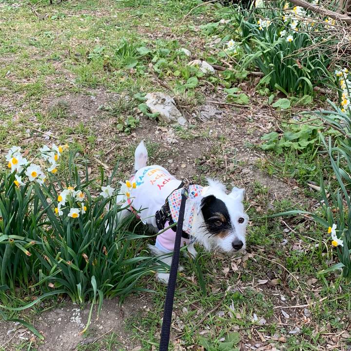 C5d679ba 9ce2 49c3 9e37 a500565ff202 1614302697759