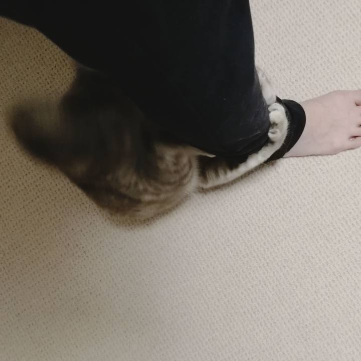 C5d69e33 b2eb 49e7 a427 70b342ee01fd 1523453120629