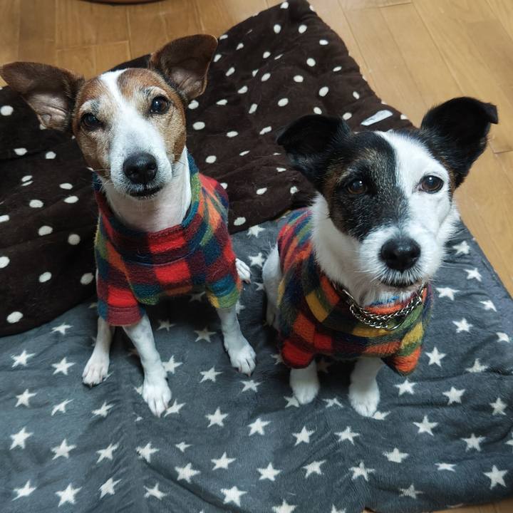 C5d6bfe3 f03f 4f56 88f5 ac8568244a60 1766876538818