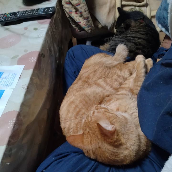 C5d6e5c2 0a1c 4ffa a0bb d9e5ad91a23f 1669934249260