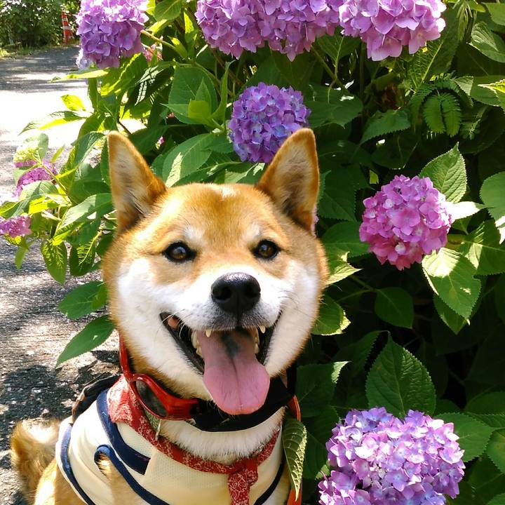 C5d6f253 9ee3 43a0 a719 7c6e97bc2473 1527926506526