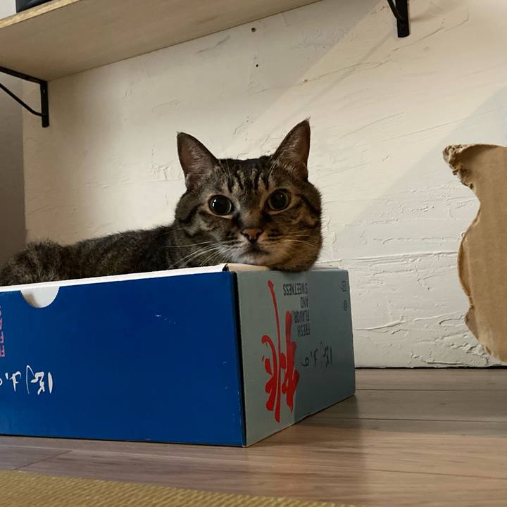 C5d6f725 3432 4d84 9f02 3491abb83e8b 1728387246877