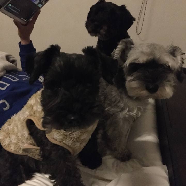 C5d6fb98 9cb1 4bf2 84d5 516d91dbd156 1573305522892