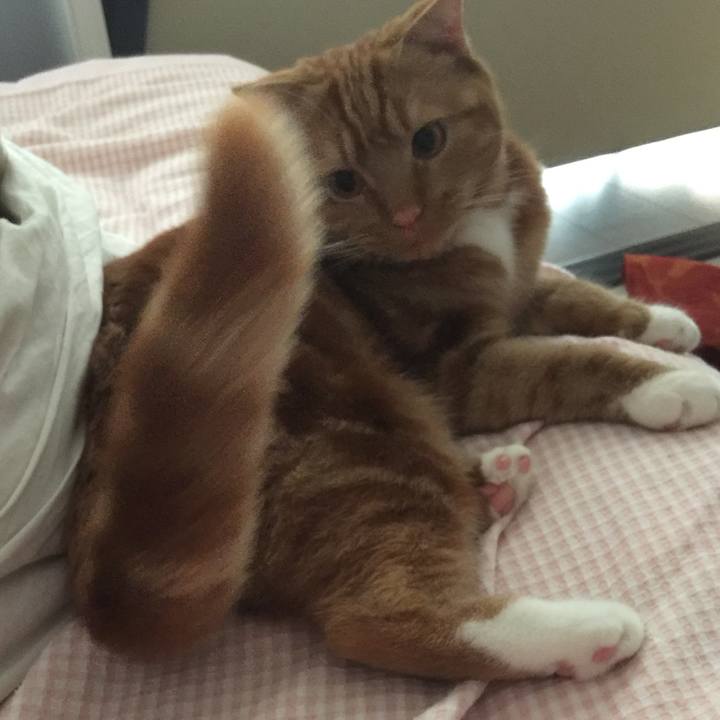 C5d71383 5cf7 4a3e b786 51bceafd628f 1527382147979