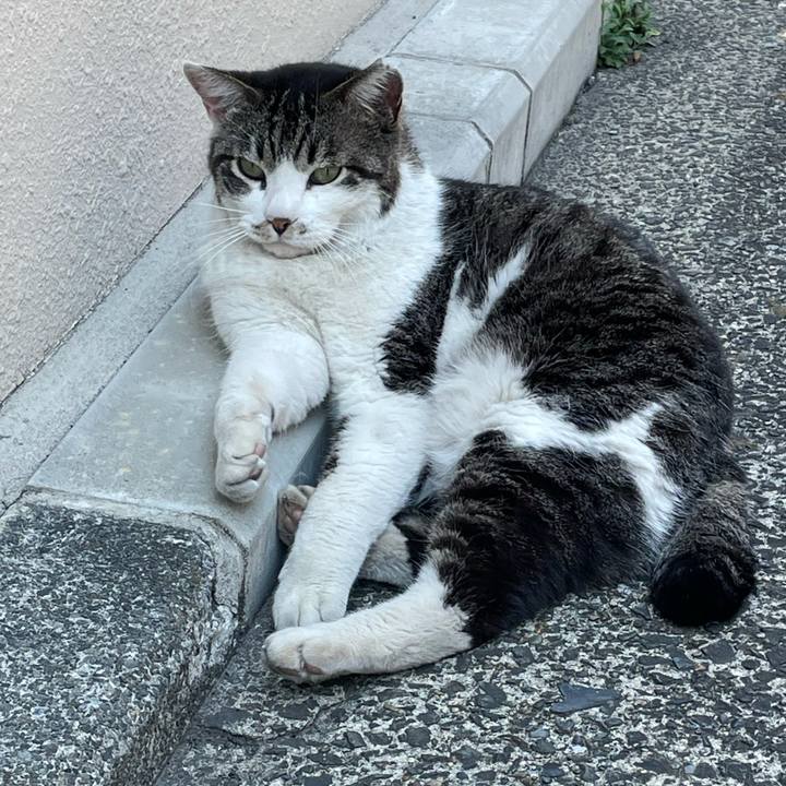 C5d72113 1c15 4ab6 81fb 74e6f27be039 1617772783674